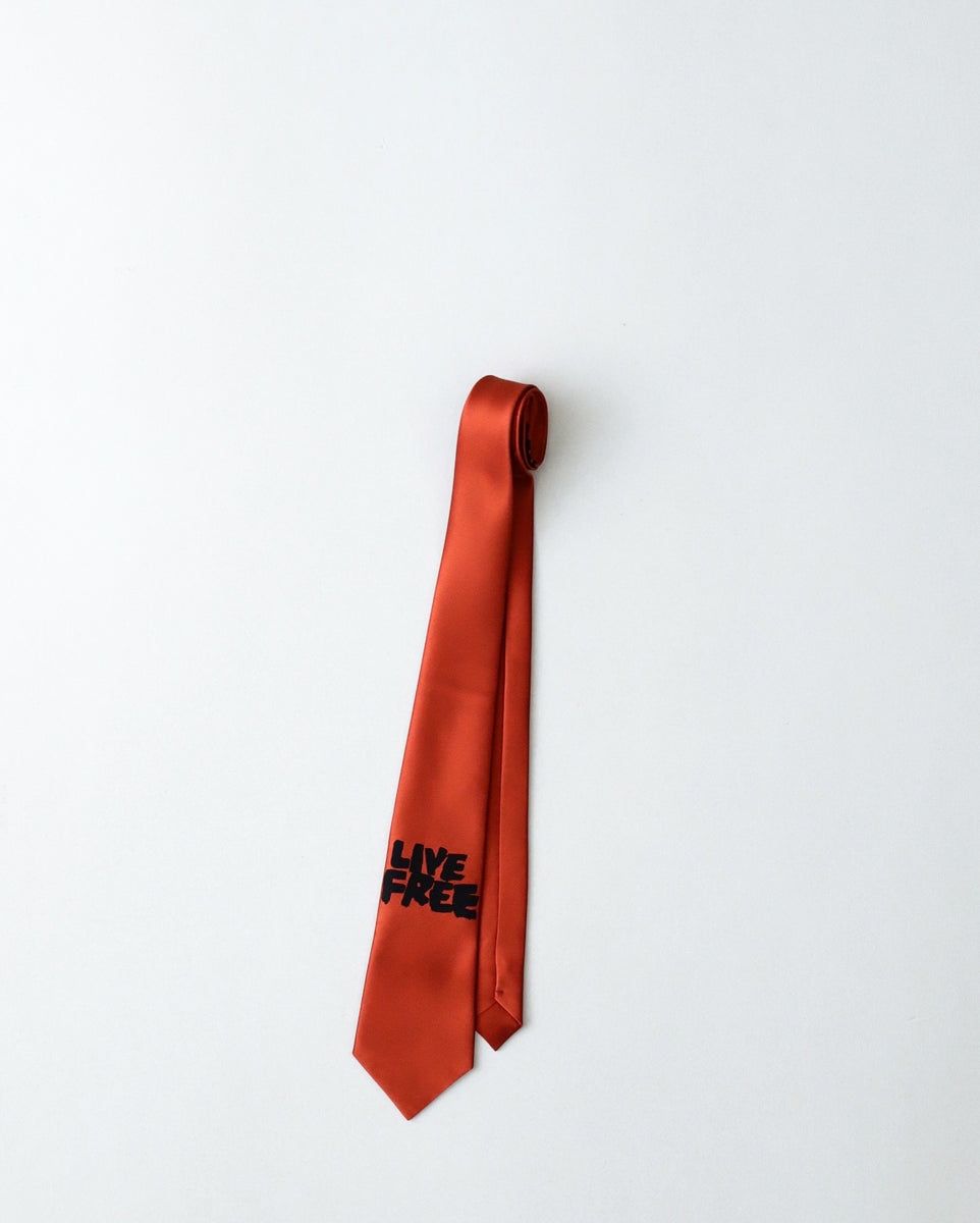 コムデギャルソンHOMME DEUX LIVE FREE ネクタイ COMME des GARCONS HOMME DEUX NECKTIE｜LIVE FREE – NCNR ONLINE STORE