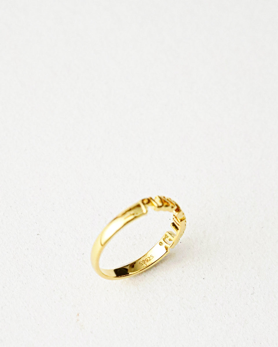 WACKO MARIA PUSSY KILLER RING – NCNR ONLINE STORE