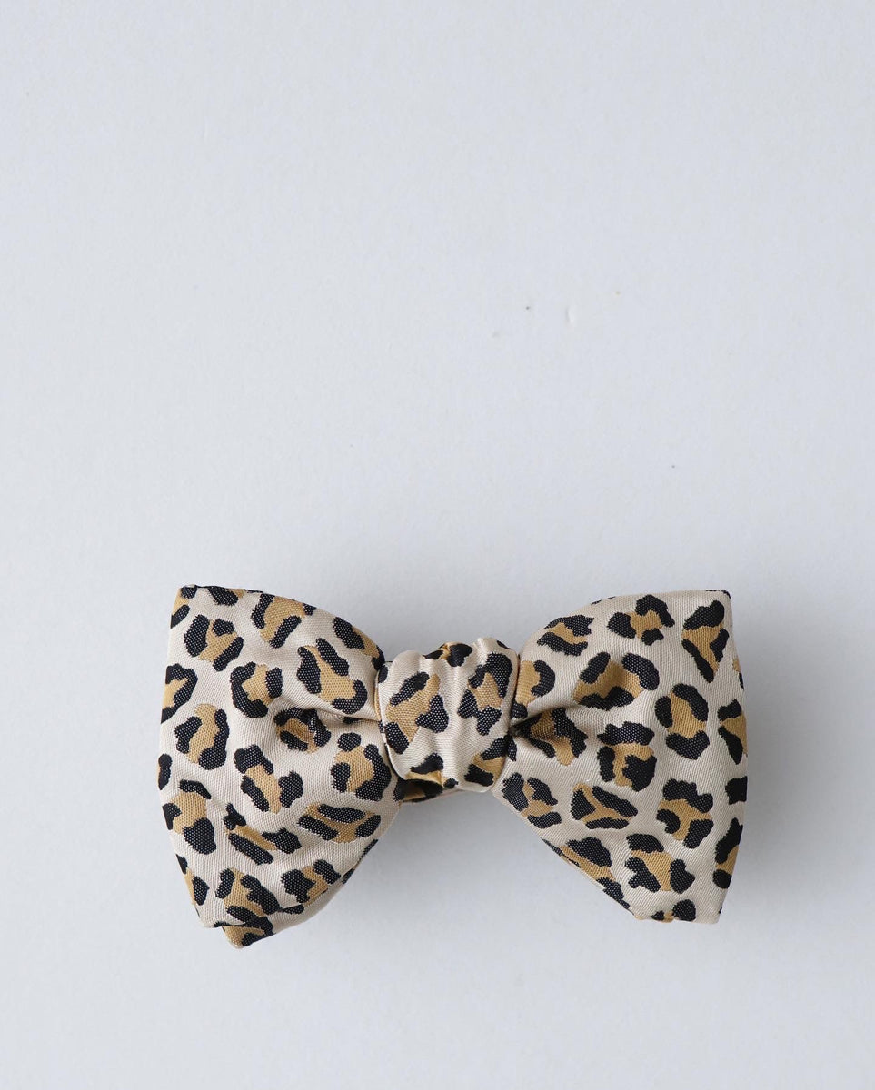 42ABCAB7-1C99-4631-8503-