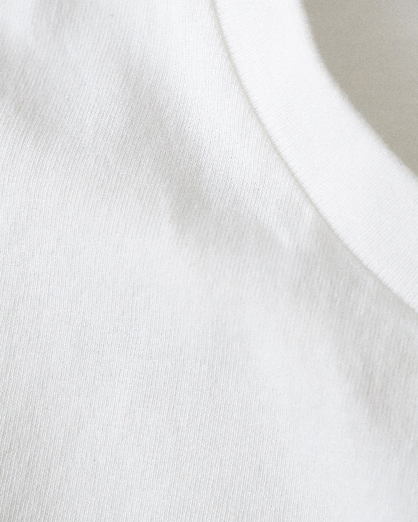 鶏舎 / WASHED HEAVY WEIGHT T-SHIRT