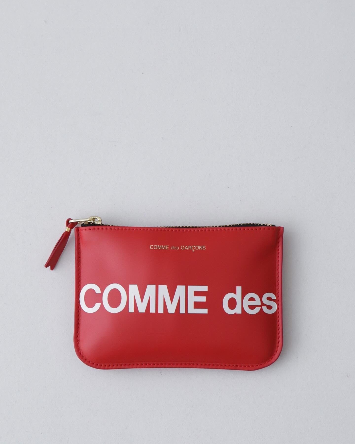 HUGE LOGO POUCH S