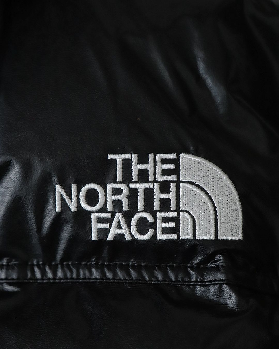 THE NORTH FACE SYNTHETIC LEATHER NUPTSE JACKET